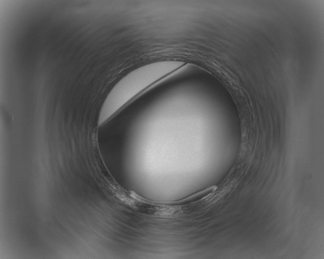 X0000072960096200607211016