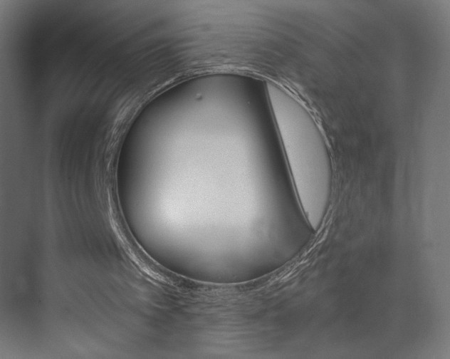 X0000072960097200607211015