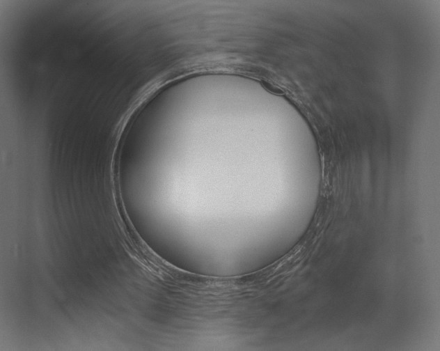 X0000072960099200607211015