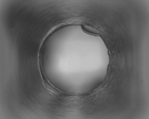 X0000072960100200607211015