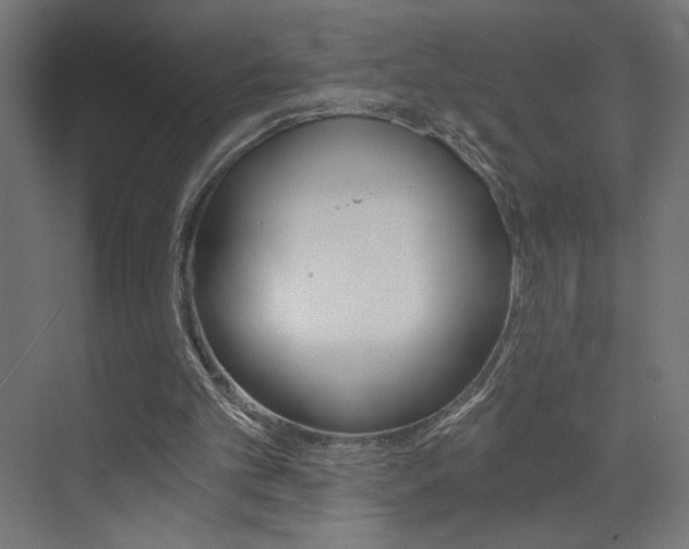 X0000072960101200607211015