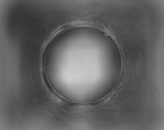 X0000072960103200607211015