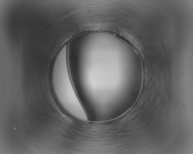 X0000072960105200607211015