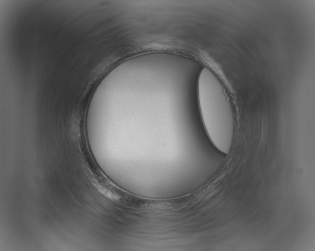 X0000072960106200607211015