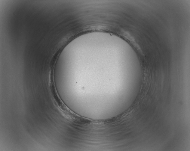 X0000072960110200607211015