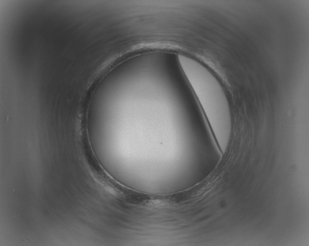 X0000072960111200607211015