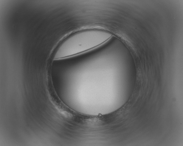 X0000072960112200607211015