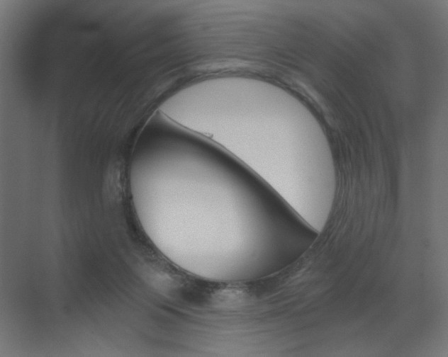 X0000072960119200607211014