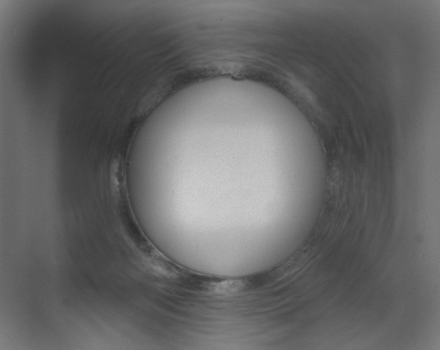 X0000072960122200607211014