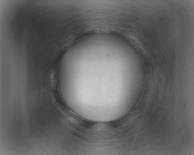 X0000072960123200607211014