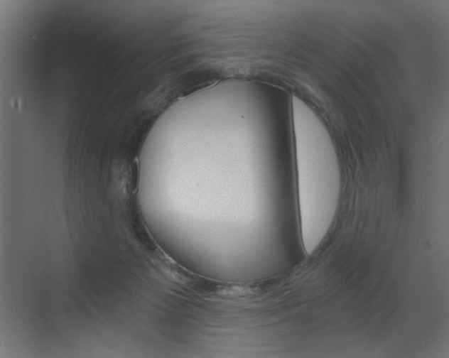 X0000072960125200607211014