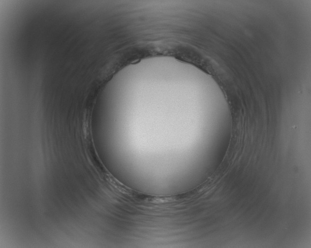 X0000072960129200607211014