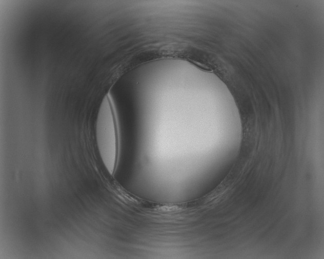 X0000072960137200607211014