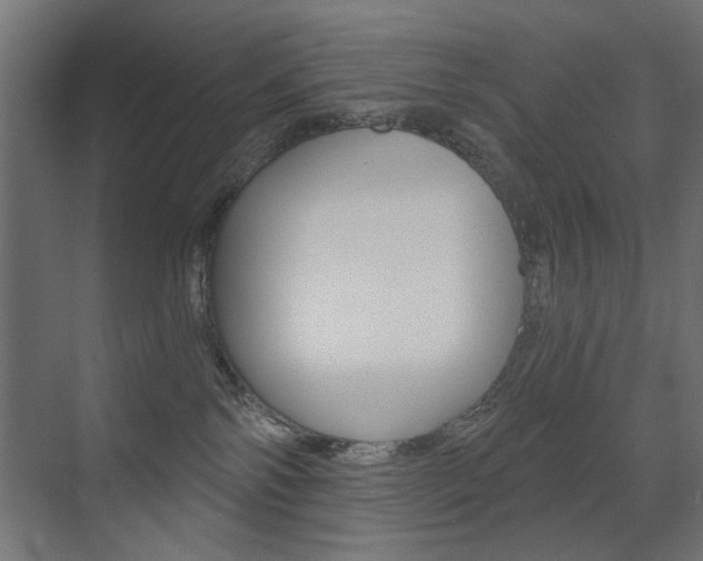 X0000072960138200607211014