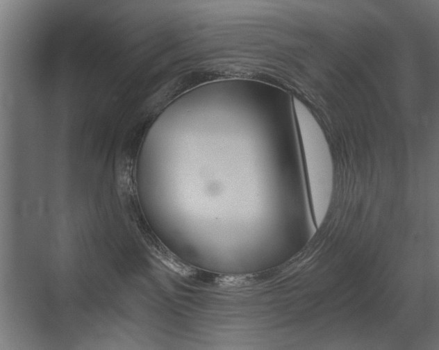 X0000072960141200607211014
