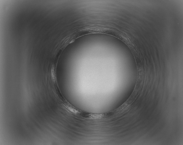 X0000072960143200607211014