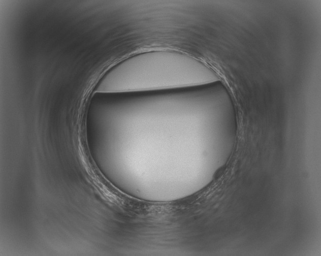 X0000072960145200607211013