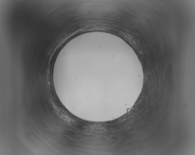 X0000072960146200607211013