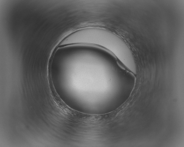 X0000072960148200607211013