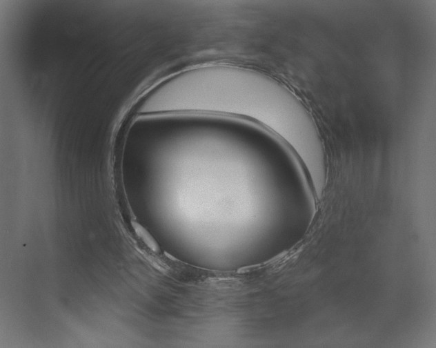 X0000072960150200607211013