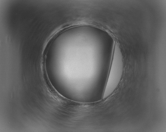 X0000072960152200607211013