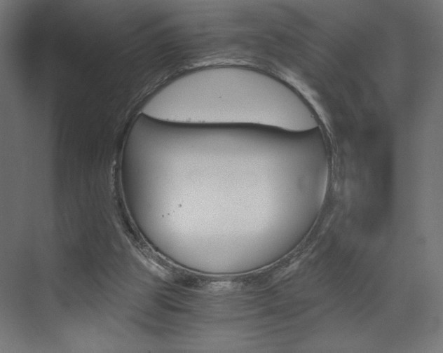 X0000072960153200607211013