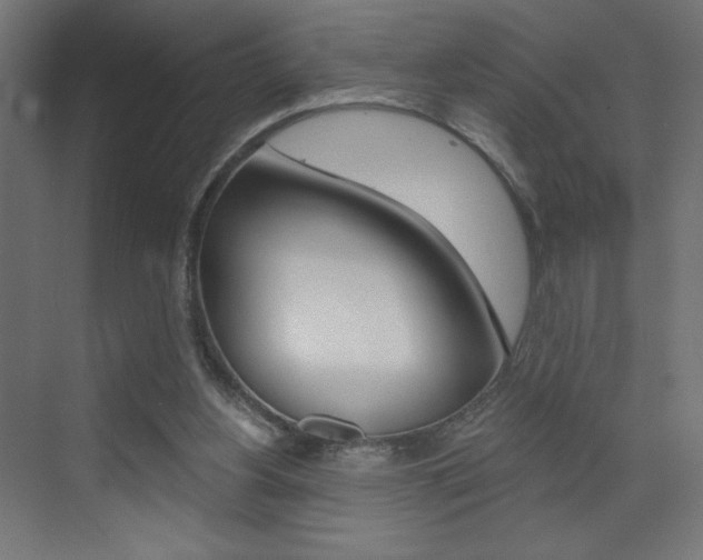 X0000072960156200607211013