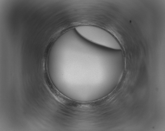 X0000072960157200607211013