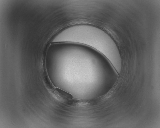 X0000072960158200607211013
