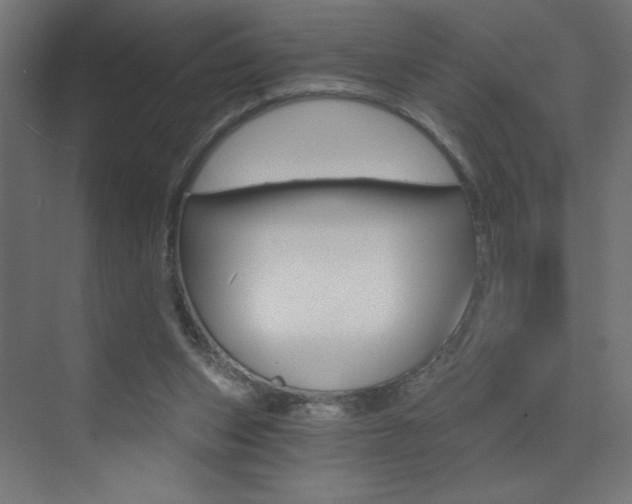 X0000072960159200607211013