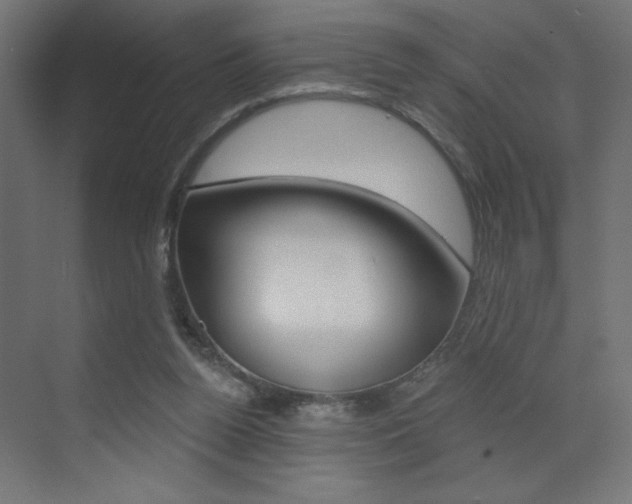 X0000072960160200607211013