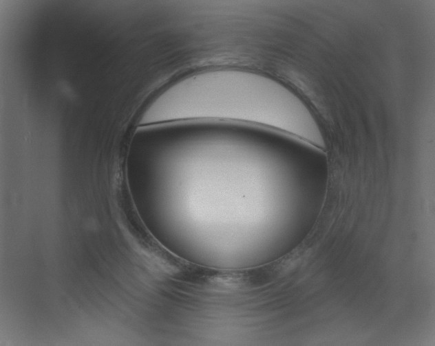 X0000072960164200607211014
