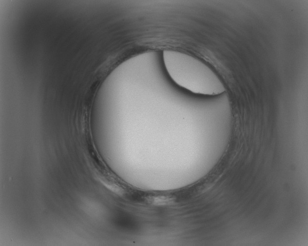 X0000072960165200607211014