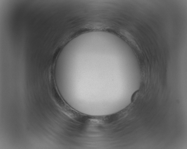 X0000072960167200607211014