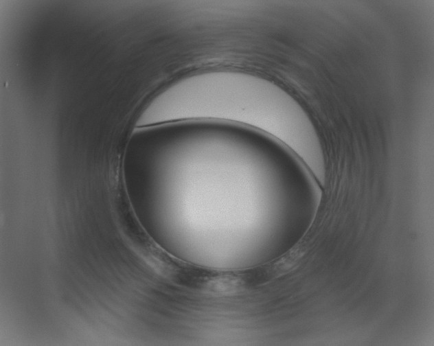 X0000072960168200607211014