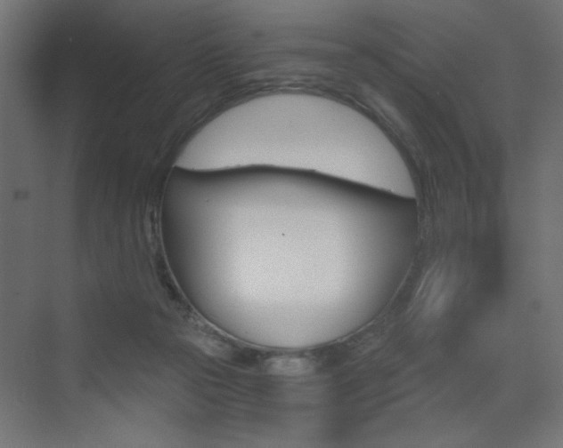 X0000072960169200607211014