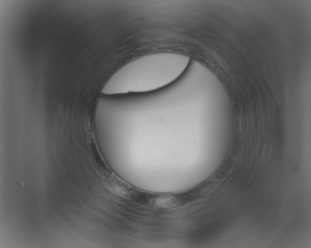 X0000072960173200607211014
