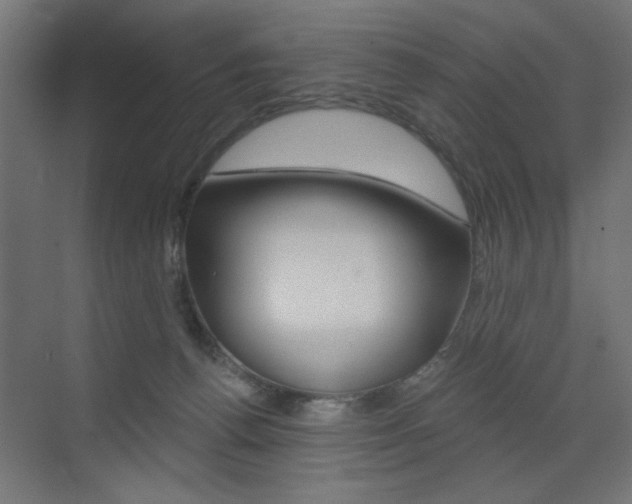 X0000072960176200607211014