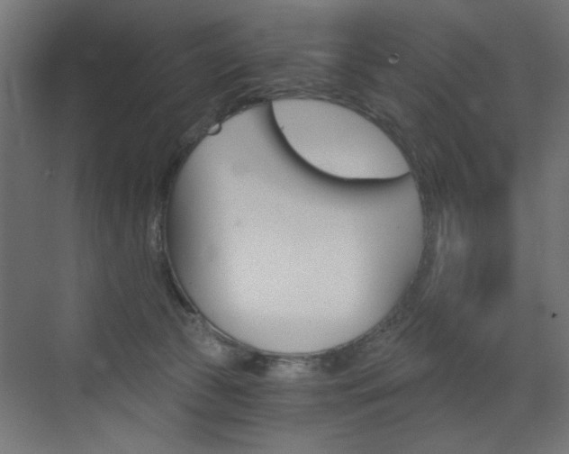 X0000072960177200607211014