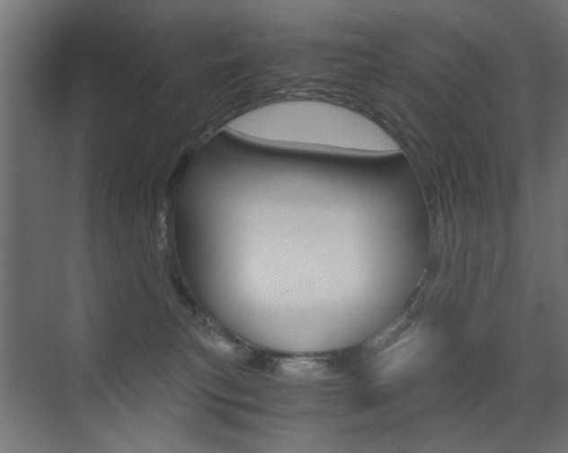 X0000072960183200607211014