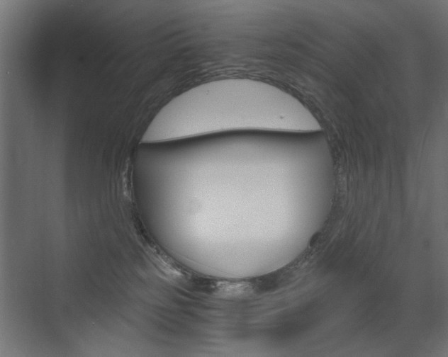 X0000072960185200607211014