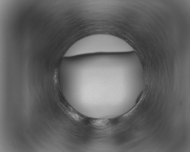 X0000072960191200607211014