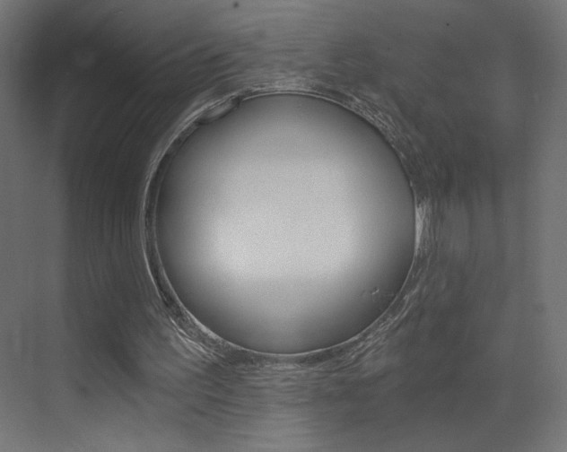 X0000072960195200607211013