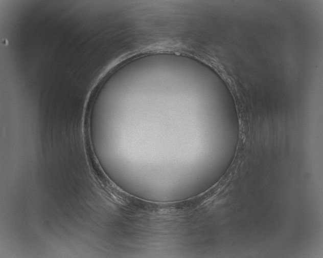 X0000072960196200607211013