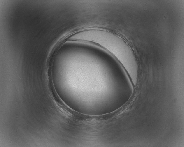 X0000072960197200607211013