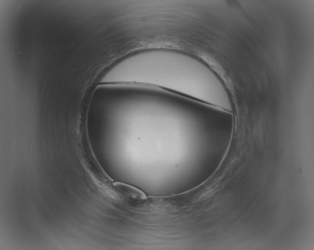 X0000072960201200607211013