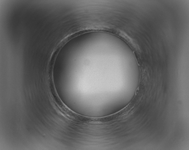X0000072960203200607211013
