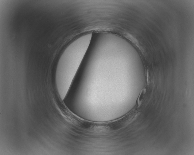 X0000072960205200607211013