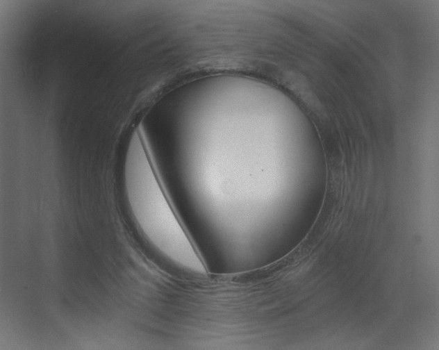 X0000072960207200607211013