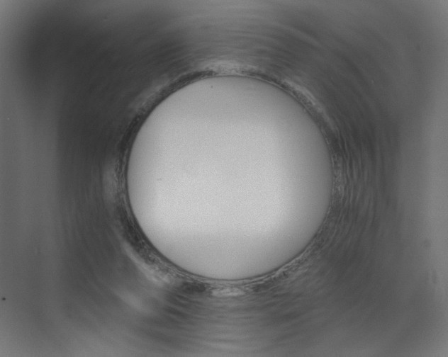 X0000072960208200607211013